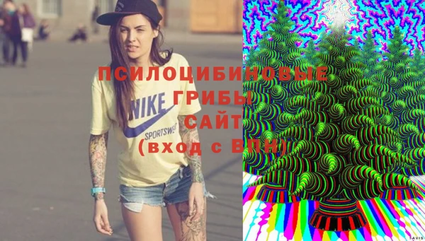 гидропоника Аркадак