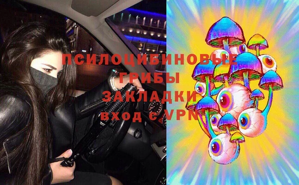 гидропоника Аркадак