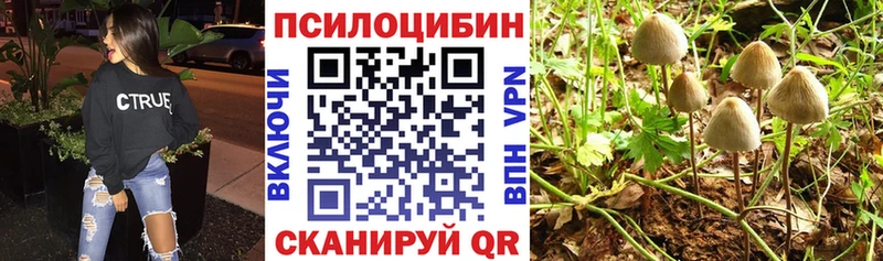 Псилоцибиновые грибы Psilocybe цена наркотик Артёмовск